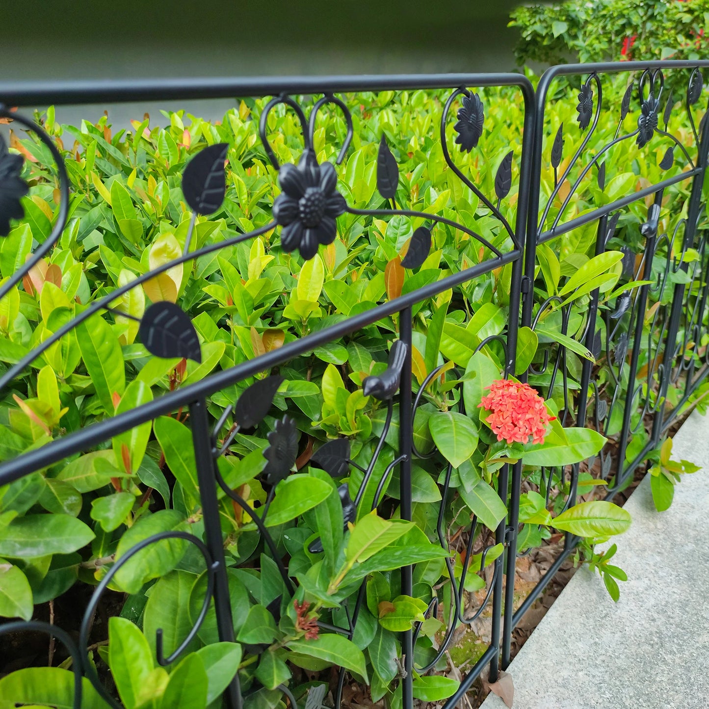 Five Pack Steel Decorative Garden Fence Panel Folding Border Fence