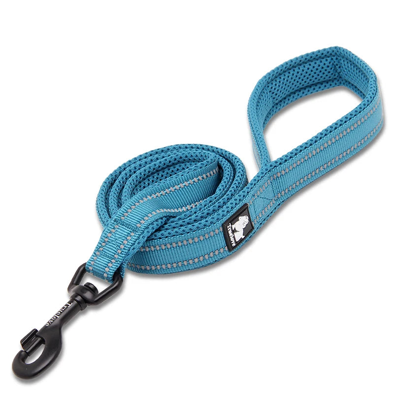 Winhyepet Padded Handle Reflective Dog Leash Durable Training Nylon
