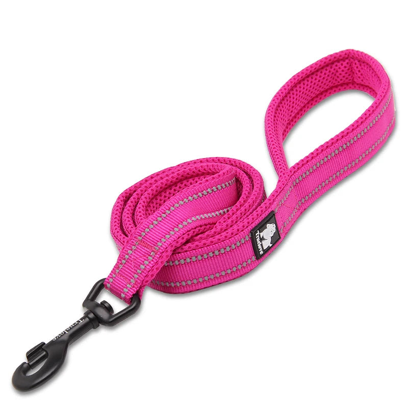 Winhyepet Padded Handle Reflective Dog Leash Durable Training Nylon