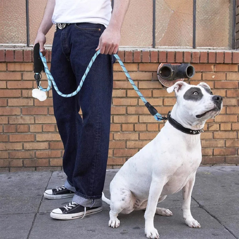 Durable Nylon Dog Leash With Padded Handle Great For Dogs