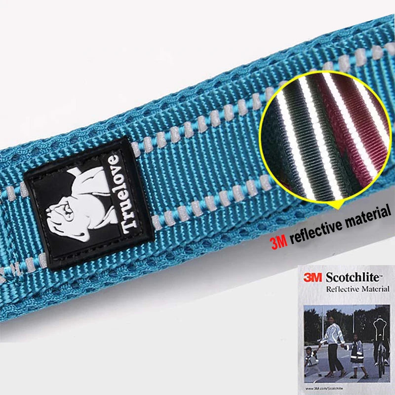 Winhyepet Padded Handle Reflective Dog Leash Durable Training Nylon
