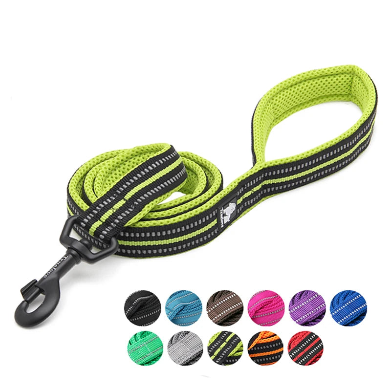 Winhyepet Padded Handle Reflective Dog Leash Durable Training Nylon