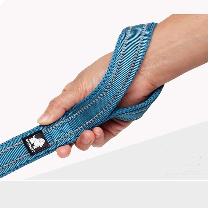 Winhyepet Padded Handle Reflective Dog Leash Durable Training Nylon
