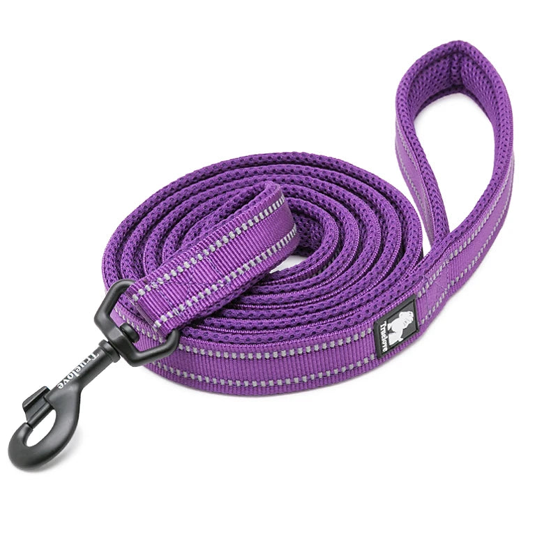 Winhyepet Padded Handle Reflective Dog Leash Durable Training Nylon