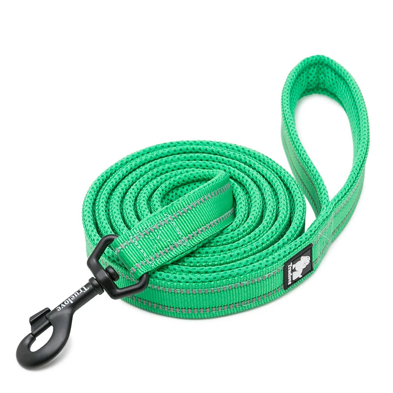 Winhyepet Padded Handle Reflective Dog Leash Durable Training Nylon