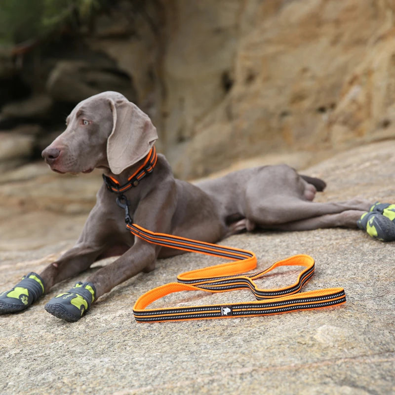 Winhyepet Padded Handle Reflective Dog Leash Durable Training Nylon