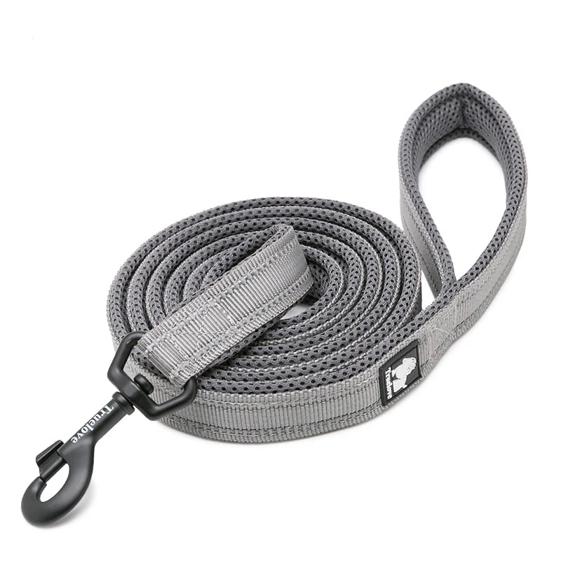 Winhyepet Padded Handle Reflective Dog Leash Durable Training Nylon