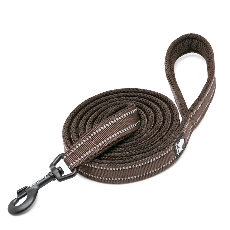 Winhyepet Padded Handle Reflective Dog Leash Durable Training Nylon