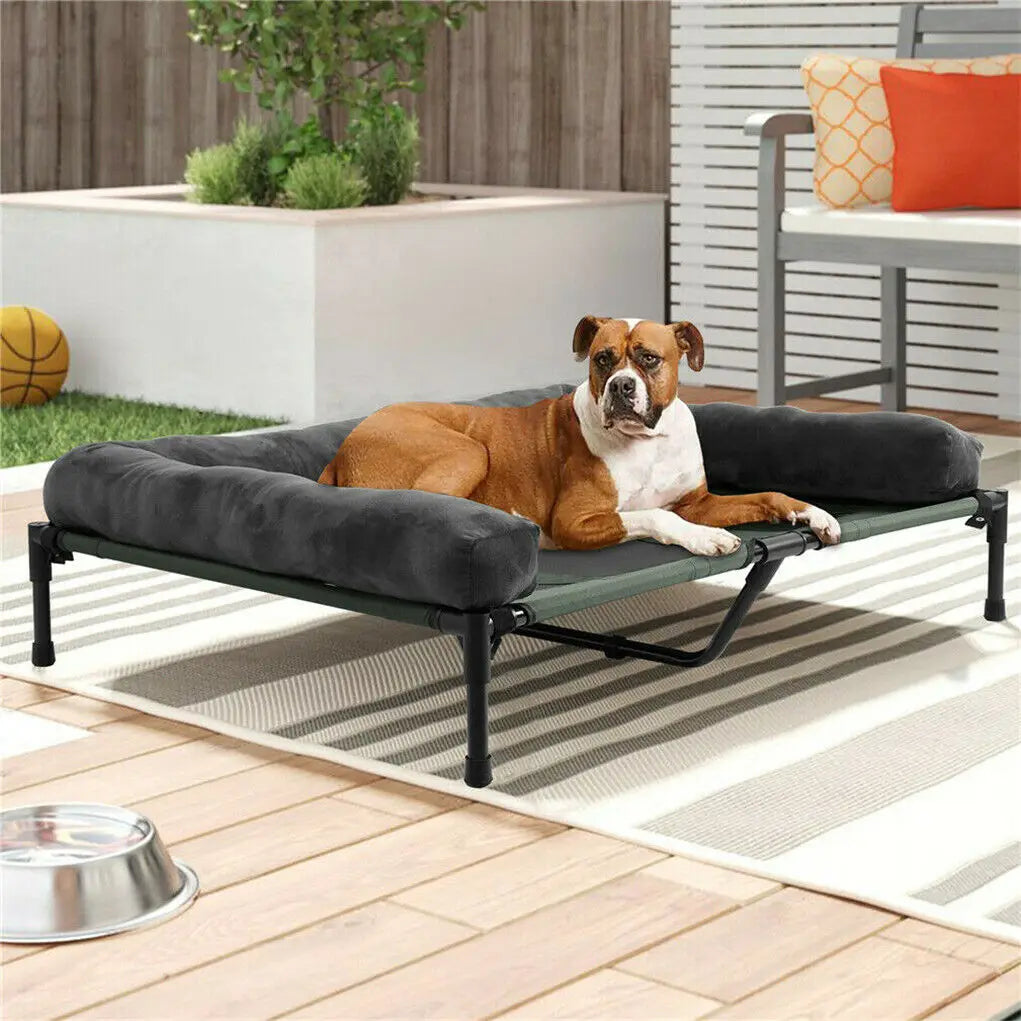 BINGOPAW Elevated Pet Lounger Bed for Indoor Outdoor Use