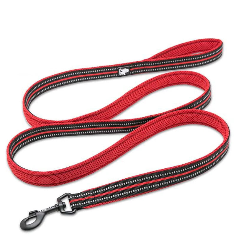 Winhyepet Padded Handle Reflective Dog Leash Durable Training Nylon