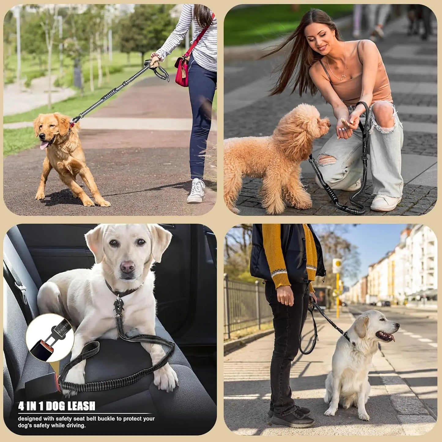 Reflective Shock Absorbing Pet Leash With Car Seatbelt For Large Dogs