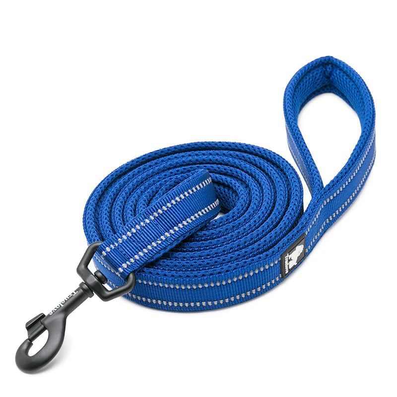 Winhyepet Padded Handle Reflective Dog Leash Durable Training Nylon