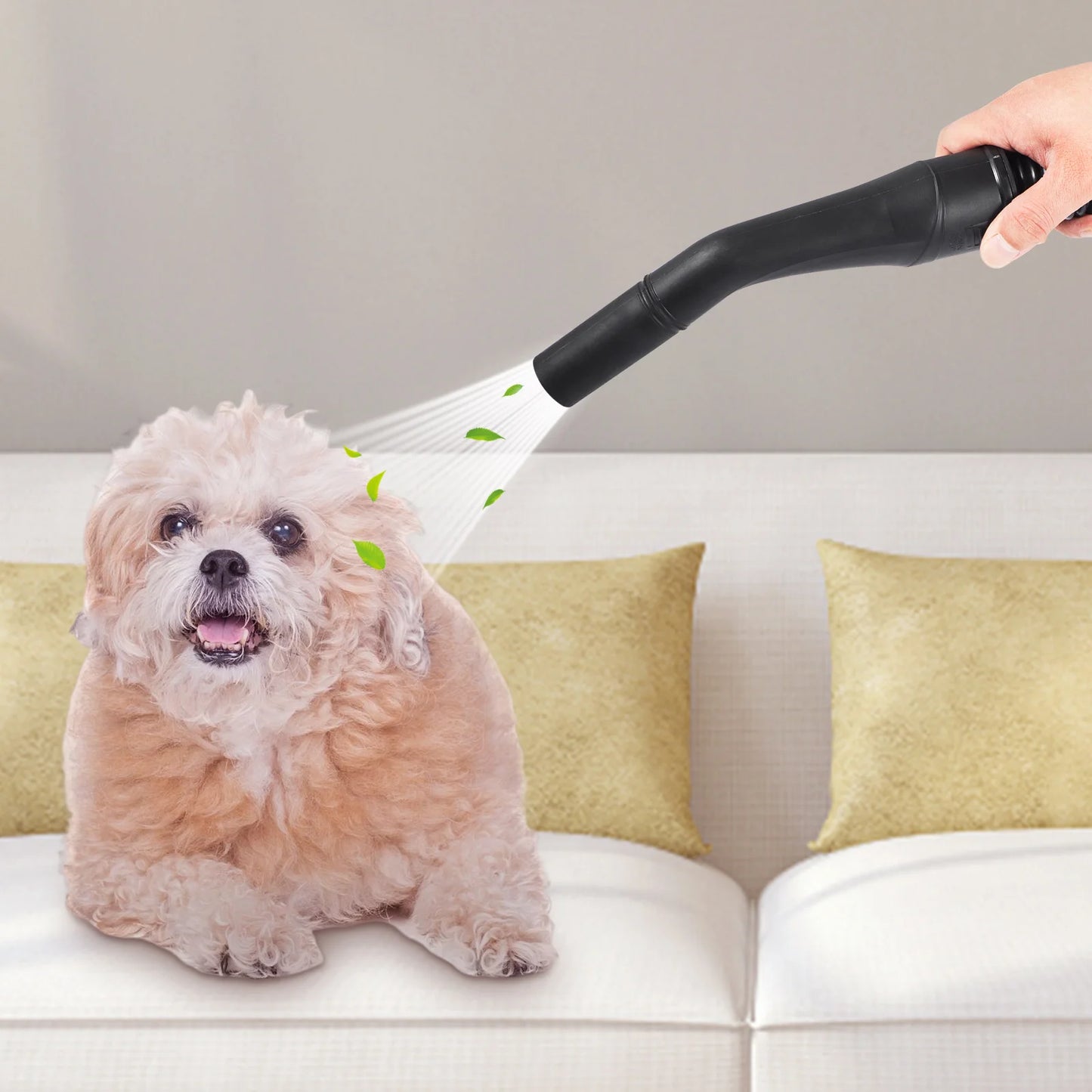SucceBuy 3-In-1 Wet Dry Shop Vacuum