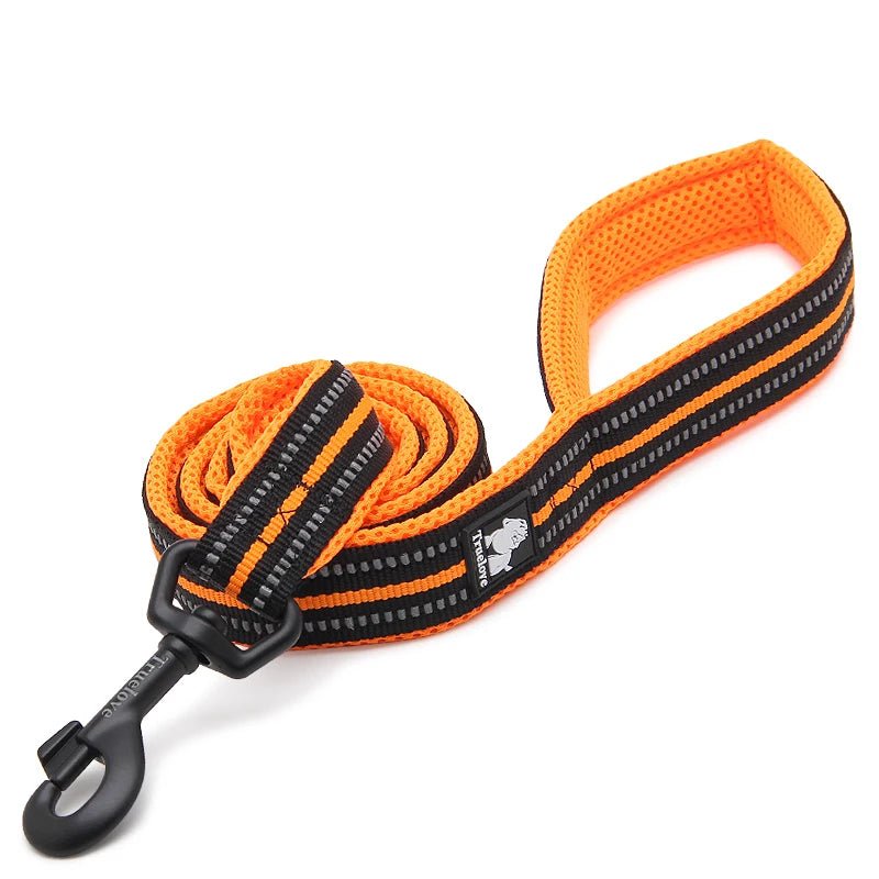 Winhyepet Padded Handle Reflective Dog Leash Durable Training Nylon