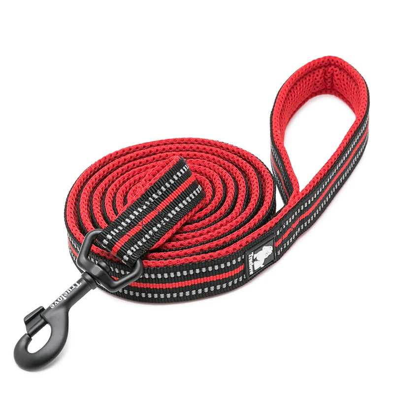 Winhyepet Padded Handle Reflective Dog Leash Durable Training Nylon