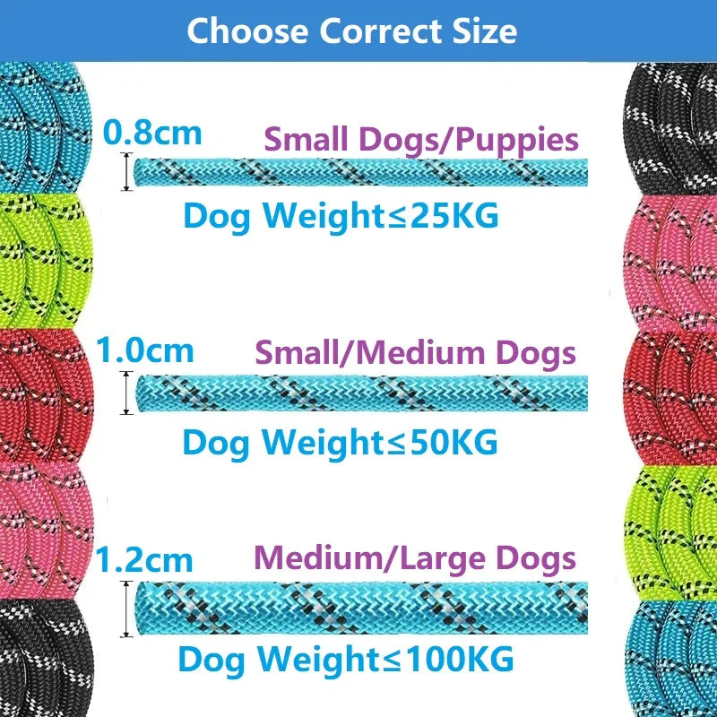 Durable Nylon Dog Leash With Padded Handle Great For Dogs