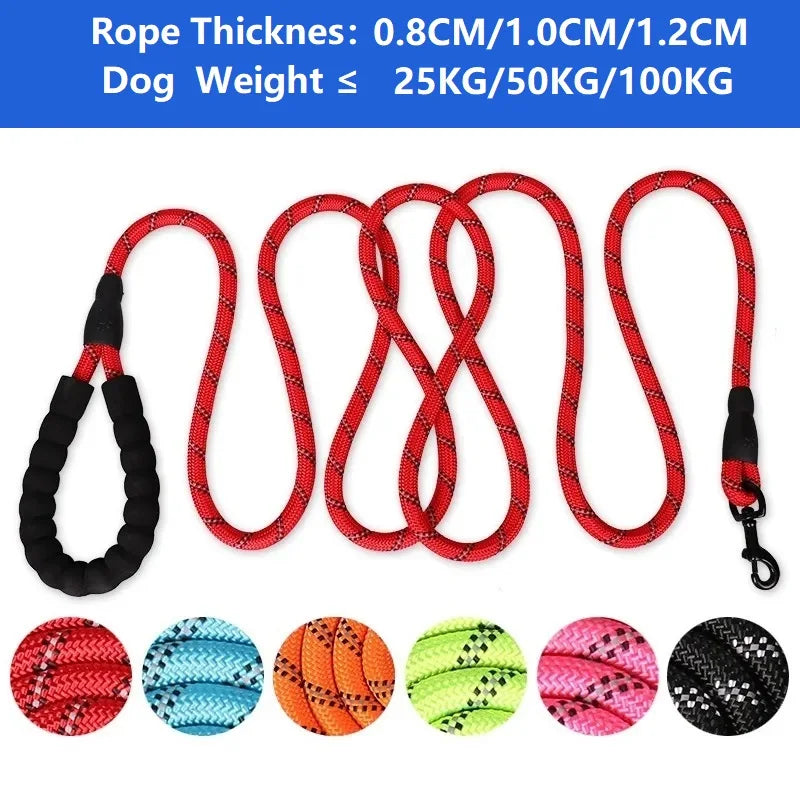 Durable Nylon Dog Leash With Padded Handle Great For Dogs