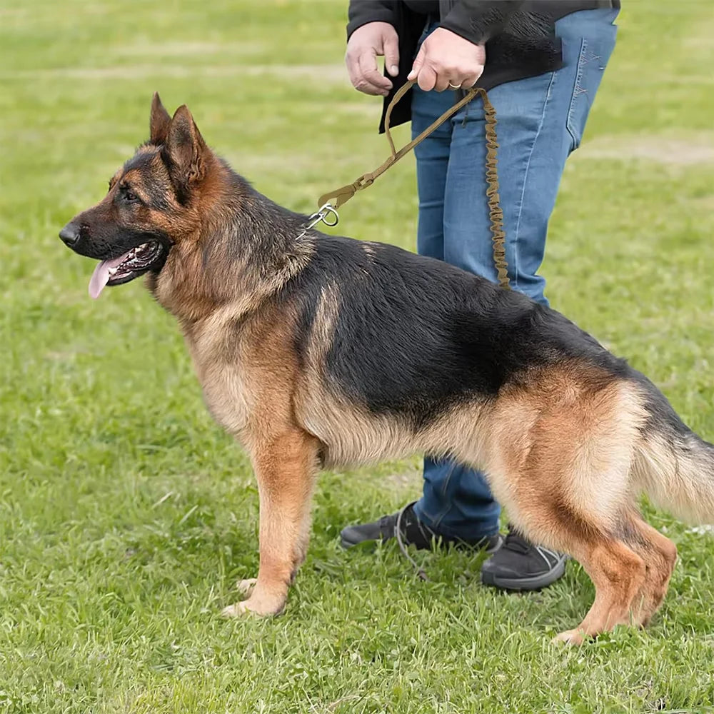 Guangdong Tactical Dog Leash With Adjustable Quick Release