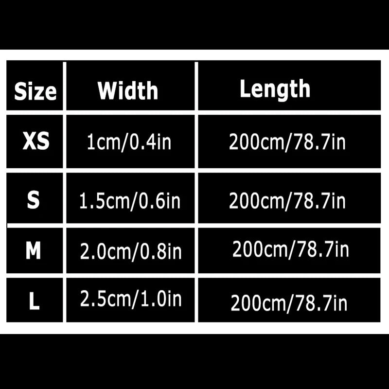 Winhyepet Padded Handle Reflective Dog Leash Durable Training Nylon