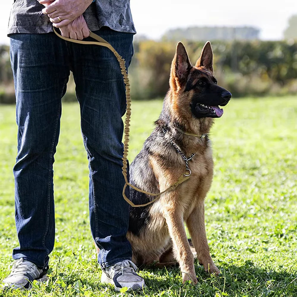 Guangdong Tactical Dog Leash With Adjustable Quick Release