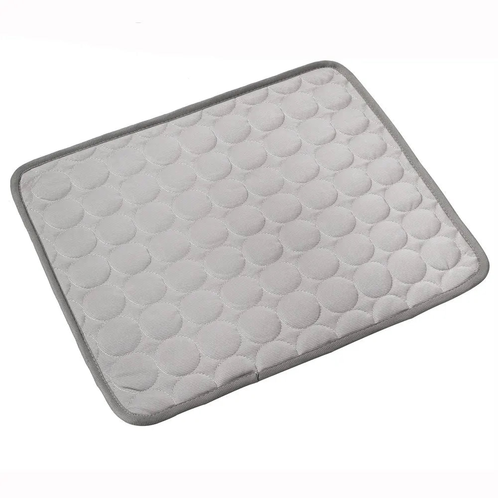 BeiYu Pet Dog Cooling Mat Ice Pad For Pets Worldwide